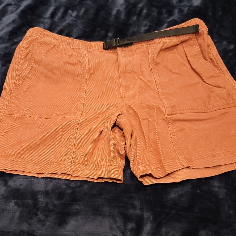 Eddie Bauer Men's Brown Cargo Shorts